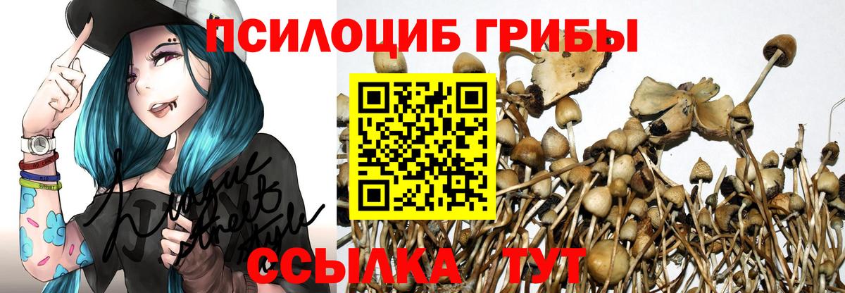 Псилоцибиновые грибы мухоморы Тольятти